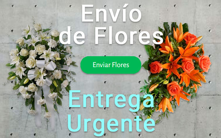 Envio de flores urgente a Tanatorio Blanes